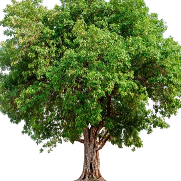 Meet your Posher, Meg - Picture 1 of 1